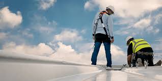 Best Roof Maintenance and Cleaning  in Sierra Ridge, CO